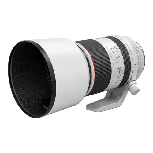 Canon RF 2,8/70-200 mm L IS USM Objektiv