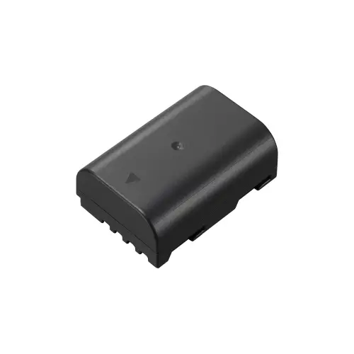 Panasonic DMW-BLF19E Akku