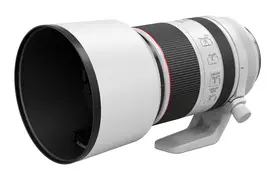 Canon RF 2,8/70-200 mm L IS USM Objektiv