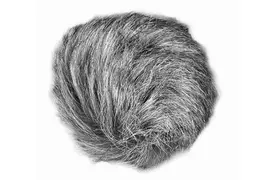 Zoom WSU-1 Windschutz